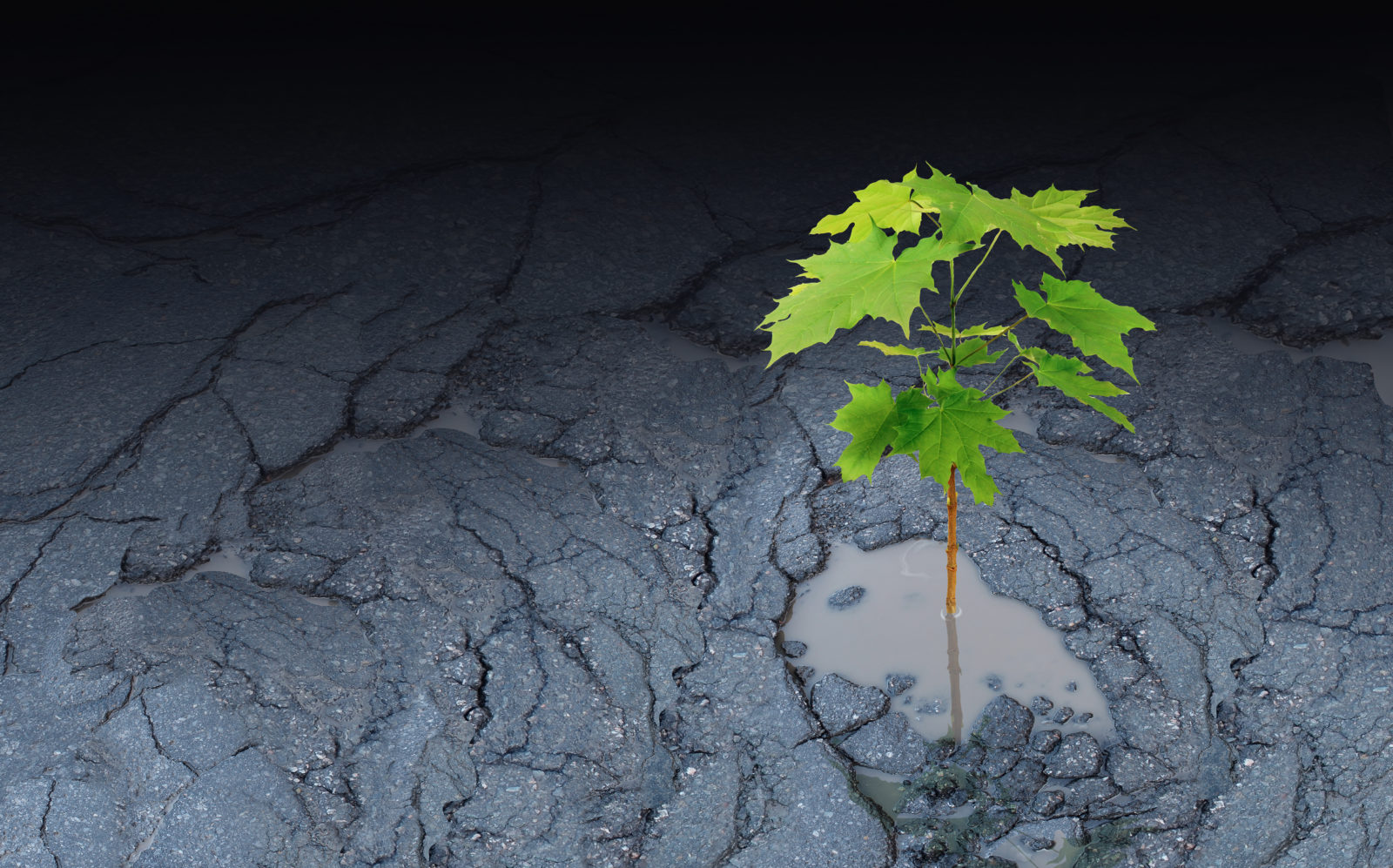 What is Network Resilience (and How to Achieve It)